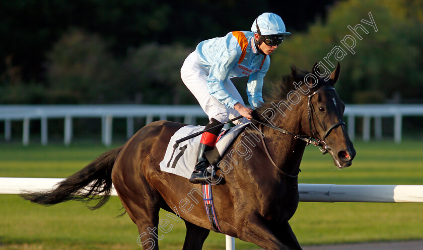 Summertime-Romance-0001 
 SUMMERTIME ROMANCE (Christian Howarth)
Kempton 4 Aug 2021 - Pic Steven Cargill / Racingfotos.com