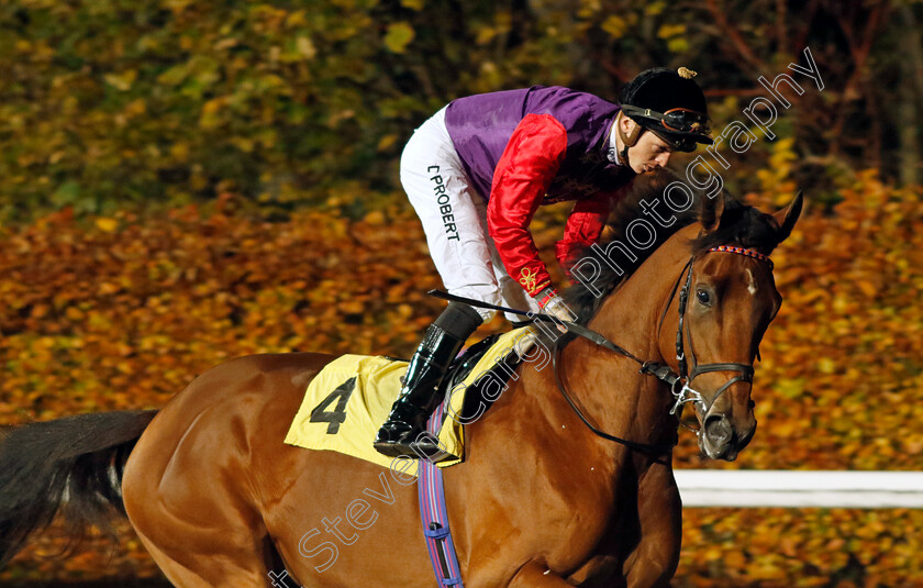 Candle-Wax-0001 
 CANDLE WAX (David Probert)
Kempton 15 Nov 2023 - Pic Steven Cargill / Racingfotos.com