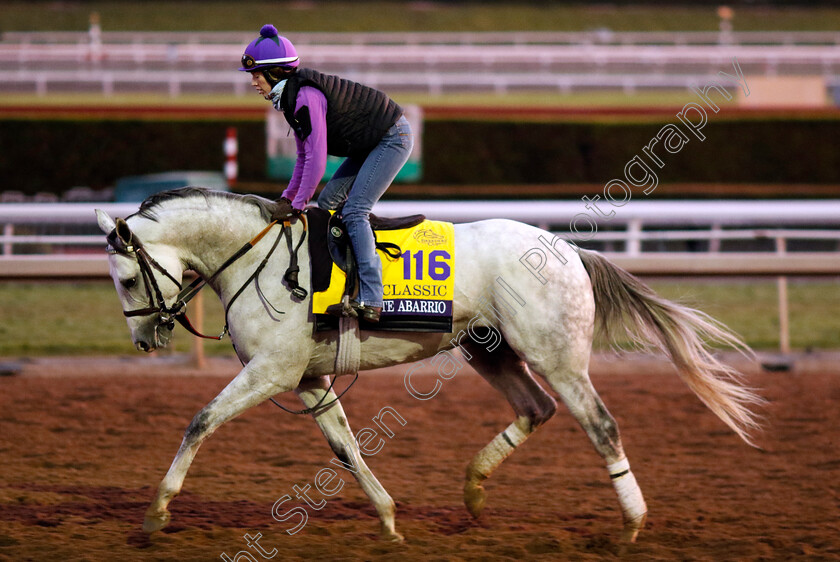 White-Abarrio-0001 
 WHITE ABARRIO training for the Breeders' Cup Classic
Santa Anita USA, 1 Nov 2023 - Pic Steven Cargill / Racingfotos.com