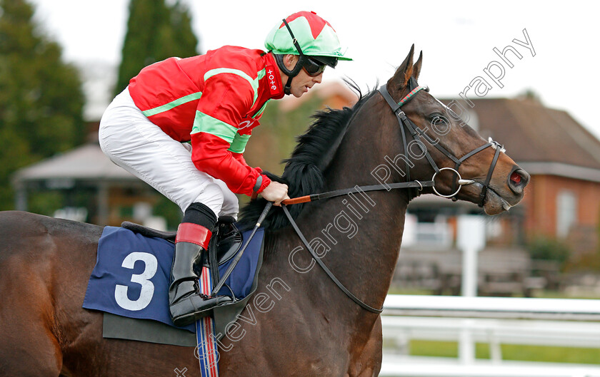 Cable-Speed-0002 
 CABLE SPEED (Ben Curtis) winner of The Ladbrokes Where The Nation Plays Novice Median Auction Stakes Div1
Lingfield 4 Jan 2020 - Pic Steven Cargill / Racingfotos.com