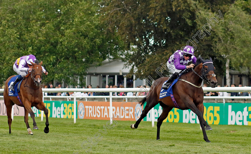 Shaquille-0005 
 SHAQUILLE (Rossa Ryan) wins The Pertemps Network July Cup
Newmarket 15 Jul 2023 - Pic Steven Cargill / Racingfotos.com