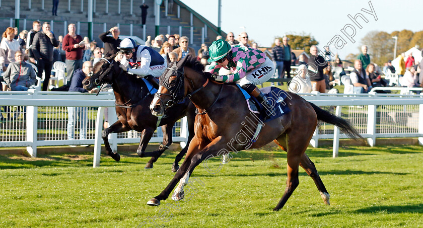 Aunt-Violet-0004 
 AUNT VIOLET (Saffie Osborne) wins The British EBF Fillies Novice Stakes
Yarmouth 18 Oct 2022 - Pic Steven Cargill / Racingfotos.com