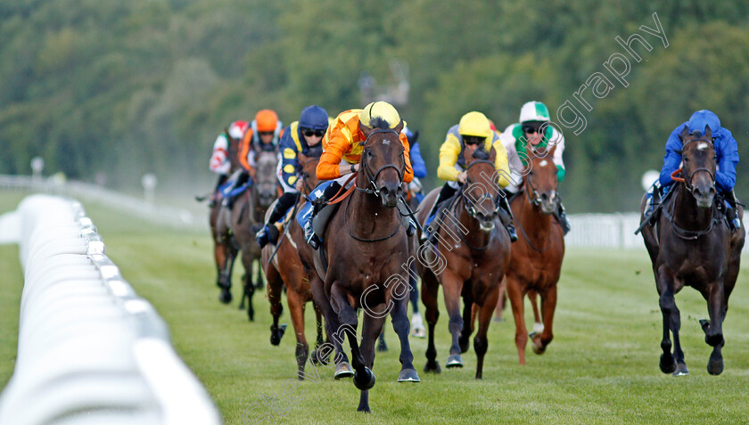 Tinker-Toy-0003 
 TINKER TOY (Jack Mitchell) wins The Every Race Live On Racing TV Novice Stakes Div1
Salisbury 11 Jul 2020 - Pic Steven Cargill / Racingfotos.com