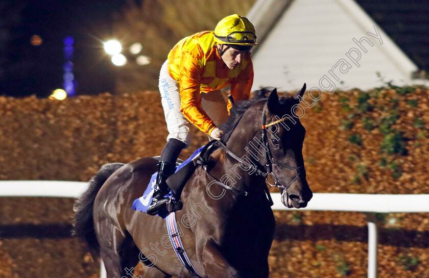 First-Principle-0006 
 FIRST PRINCIPLE (Richard Kingscote) winner of The Unibet EBF Novice Stakes Div1
Kempton 4 Dec 2024 - pic Steven Cargill / Racingfotos.com