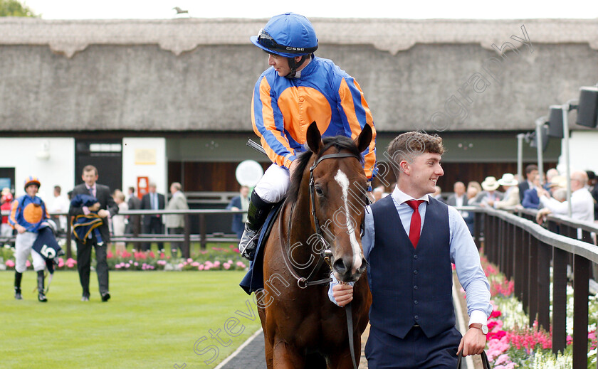 Royal-Lytham-0004 
 ROYAL LYTHAM (Wayne Lordan) after The Tattersalls July Stakes
Newmarket 11 Jul 2019 - Pic Steven Cargill / Racingfotos.com