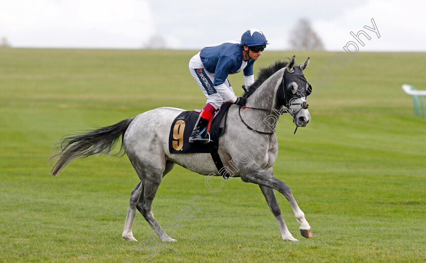 Sarvan 
 SARVAN (Frankie Dettori)
Newmarket 29 Oct 2021 - Pic Steven Cargill / Racingfotos.com