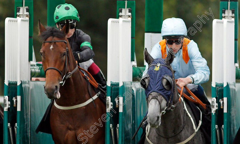 Fairmac-and-Legendary-Day-0001 
 Oisin Murphy (left, Legendary Day) with William Buick (right, Fairmac) at the start of the Kier Construction Handicap
Nottingham 13 Oct 2021 - Pic Steven Cargill / Racingfotos.com