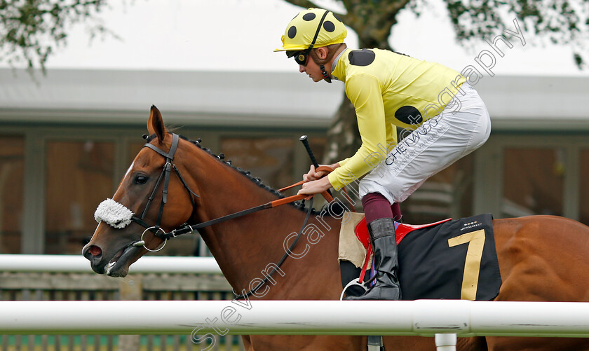 Rising-Bay-0001 
 RISING BAY (Rob Hornby)
Newmarket 1 Jul 2023 - Pic Steven Cargill / Racingfotos.com