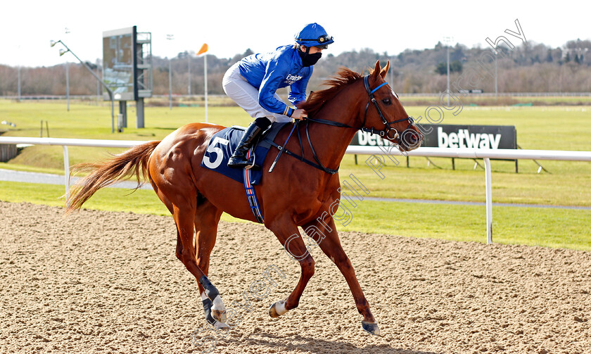 King-Leo-0001 
 KING LEO (Nicky Mackay)
Wolverhampton 13 Mar 2021 - Pic Steven Cargill / Racingfotos.com