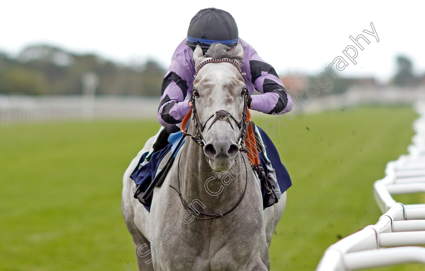 First-Folio-0001 
 FIRST FOLIO (Taylor Fisher) wins The National Horseracing Museum Supported By ARC Handicap
Yarmouth 15 Sep 2022 - Pic Steven Cargill / Racingfotos.com