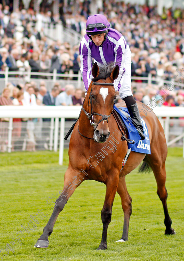 Magical-0002 
 MAGICAL (Ryan Moore)
York 22 Aug 2019 - Pic Steven Cargill / Racingfotos.com