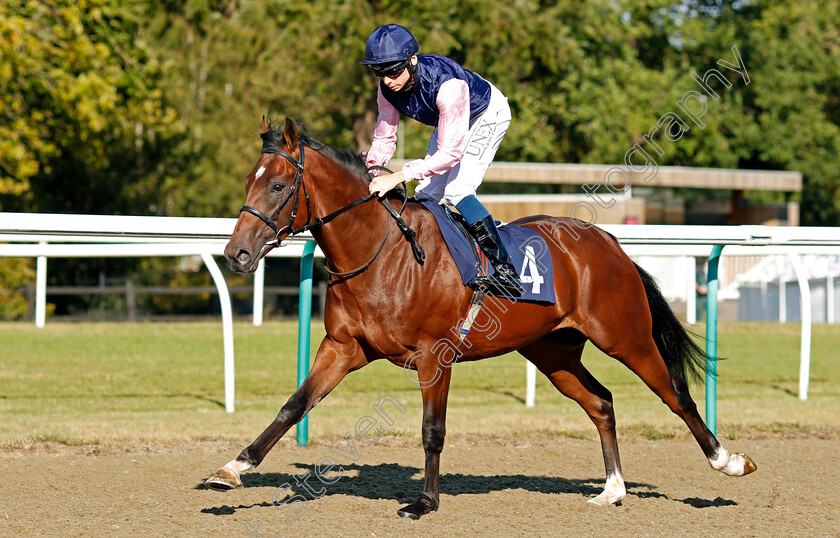 Dansing-Bear-0001 
 DANSING BEAR (Callum Shepherd)
Lingfield 4 Aug 2020 - Pic Steven Cargill / Racingfotos.com