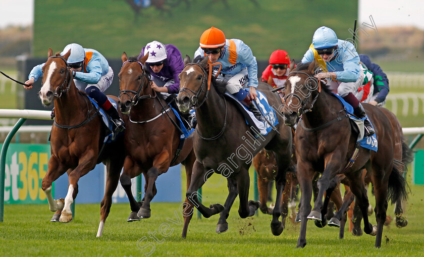 Rumstar-0004 
 RUMSTAR (right, Rob Hornby) beats MAYLANDSEA (2nd right) CRISPY CAT (2nd left) and PRINCE OF PILLO (left) in The Newmarket Academy Godolphin Beacon Project Cornwallis Stakes
Newmarket 7 Oct 2022 - Pic Steven Cargill / Racingfotos.com