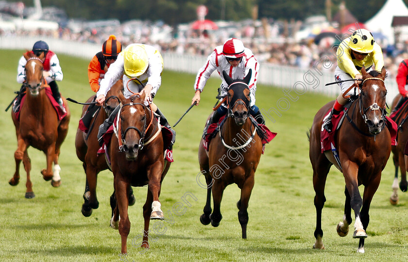 King s-Advice-0003 
 KING'S ADVICE (left, Joe Fanning) beats OUTBOX (right) in The Qatar Summer Handicap
Goodwood 3 Aug 2019 - Pic Steven Cargill / Racingfotos.com