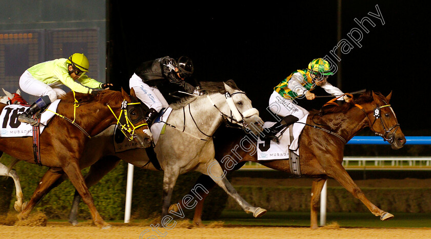 Wadeeaa-0002 
 WADEEAA (Szcepan Mazur) wins The Al Maktoum Challenge (Round 1) for Purebred Arabians
Meydan 10 Jan 2019 - Pic Steven Cargill / Racingfotos.com