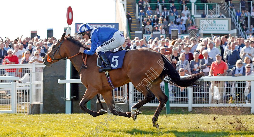 Jamaheery-0005 
 JAMAHEERY (Jim Crowley) wins The British EBF Fillies Novice Stakes
Yarmouth 19 Sep 2019 - Pic Steven Cargill / Racingfotos.com