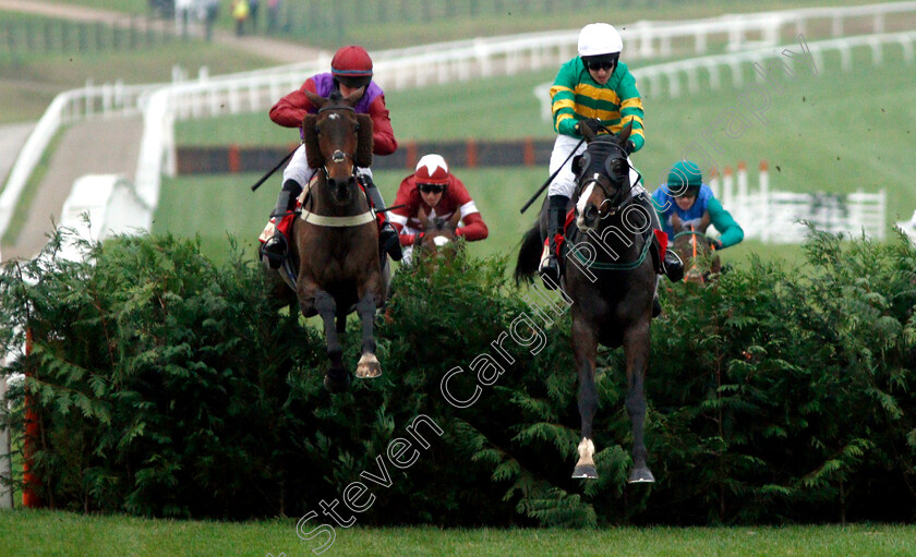 Josies-Orders-0006 
 JOSIES ORDERS (right, Mark Walsh) beats FACT OF THE MATTER (left) in The Glenfarclas Cross Country Handicap Chase
Cheltenham 16 Nov 2018 - Pic Steven Cargill / Racingfotos.com