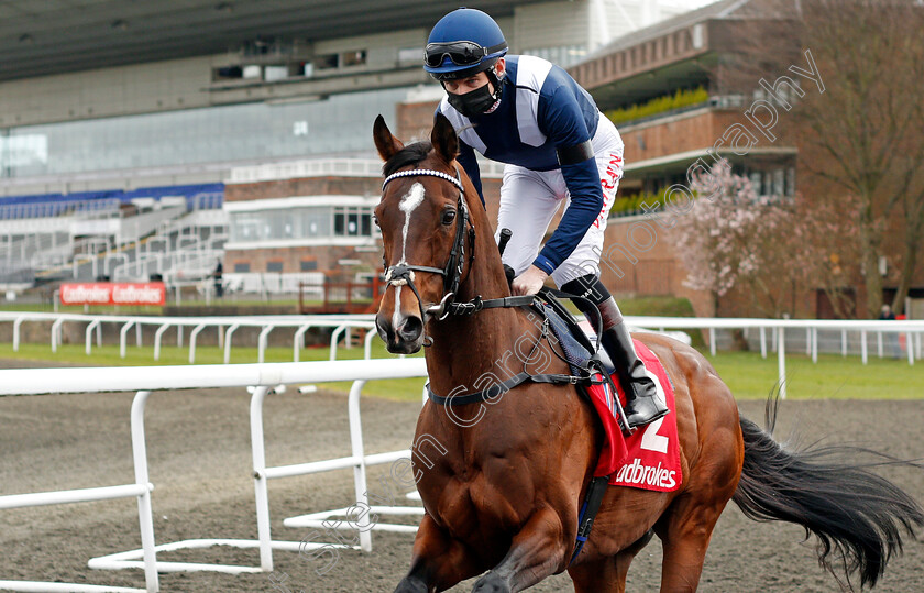 Global-Giant-0002 
 GLOBAL GIANT (Robert Havlin) winner of The Ladbrokes Magnolia Stakes 
Kempton 27 mar 2021 - Pic Steven Cargill / Racingfotos.com