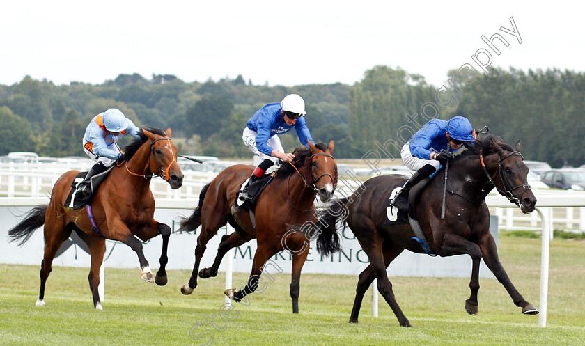 Hamada-0003 
 HAMADA (James Doyle) beats WALTON STREET (centre) and RAYMOND TUSK (left) in The Irish Thoroughbred Marketing Geoffrey Freer Stakes
Newbury 18 Aug 2018 - Pic Steven Cargill / Racingfotos.com