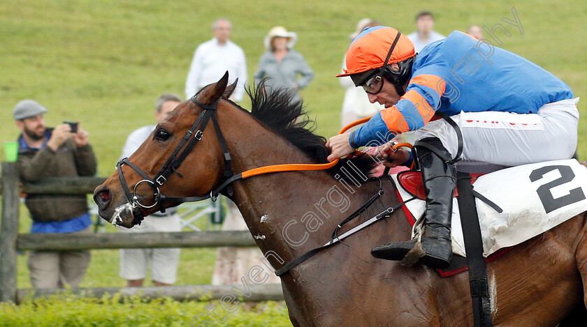 Markhan-0006 
 MARKHAN (Davy Russell) wins The George Sloan & John Sloan Sr Maiden Hurdle
Percy Warner Park, Nashville Tennessee USA, 11 May 2019 - Pic Steven Cargill / Racingfotos.com