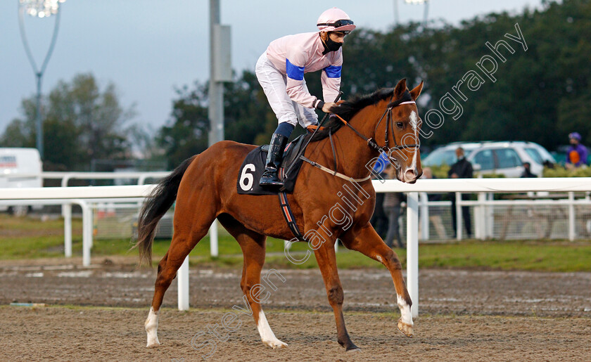 Mazzorbo-0002 
 MAZZORBO (George Downing)
Chlmsford 15 Oct 2020 - Pic Steven Cargill / Racingfotos.com