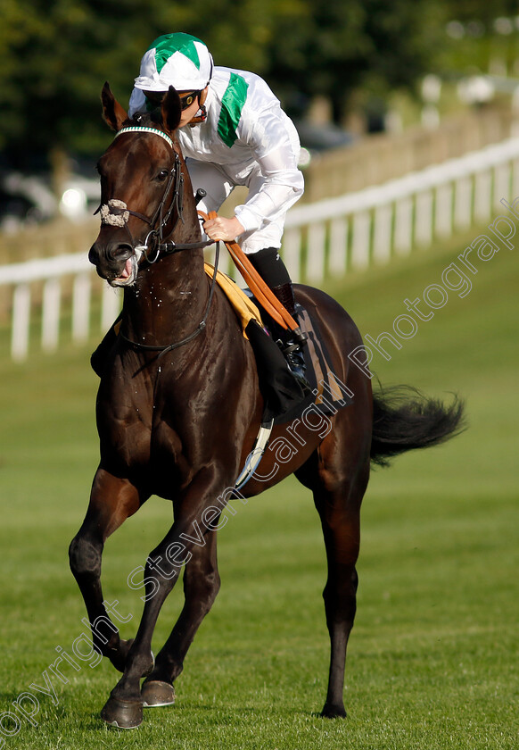 Spirit-Of-Summer-0002 
 SPIRIT OF SUMMER (Jason Watson)
Newmarket 9 Aug 2024 - Pic Steven Cargill / Racingfotos.com