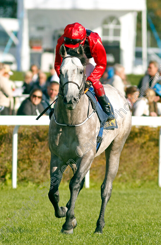 Soulofchess-0001 
 SOULOFCHESS (Carlos Lopez) 
Bro Park 17 Sep 2023 - Pic Steven Cargill / Racingfotos.com