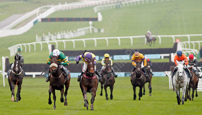 Happy-Diva-0002 
 HAPPY DIVA (centre, Richard Patrick) beats BRELAN D'AS (left, Barry Geraghty) in The BetVictor Gold Cup
Cheltenham 16 Nov 2019 - Pic Steven Cargill / Racingfotos.com