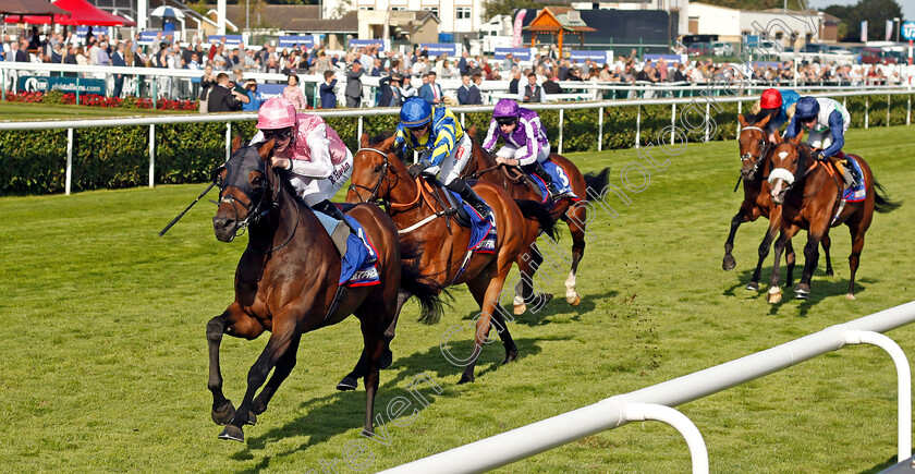 Sweet-William-0004 
 SWEET WILLIAM (Robert Havlin) wins The Betfred Howard Wright Doncaster Cup
Doncaster 13 Sep 2024 - Pic Steven Cargill / Racingfotos.com