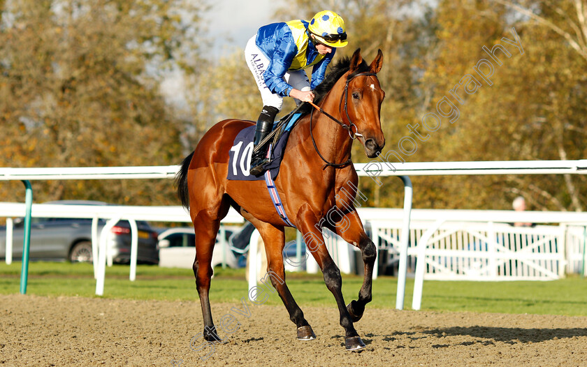 Kodiac-Sign-0001 
 KODIAC SIGN (Ryan Moore)
Lingfield 28 Oct 2021 - Pic Steven Cargill / Raingfotos.com