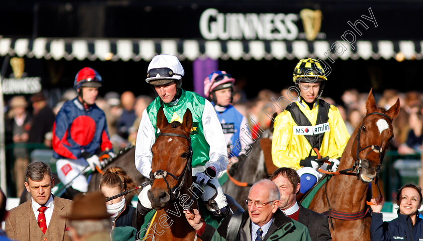 Cheltenham-0001 
 Horses head out to the racecourse at Cheltenham 17 Nov 2017 - Pic Steven Cargill / Racingfotos.com