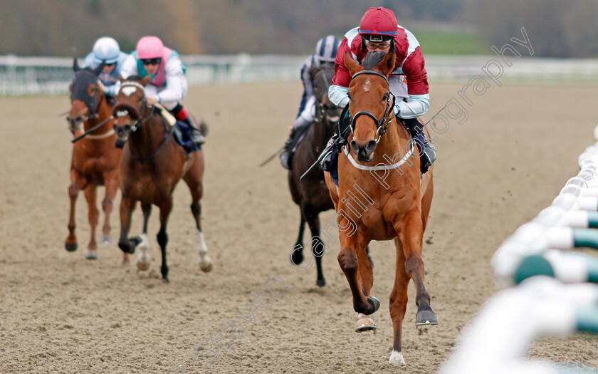 Bendy-Spirit-0002 
 BENDY SPIRIT (Connor Murtagh) wins The Ladbrokes Home Of The Odds Boost Handicap
Lingfield 2 Jan 2020 - Pic Steven Cargill / Racingfotos.com