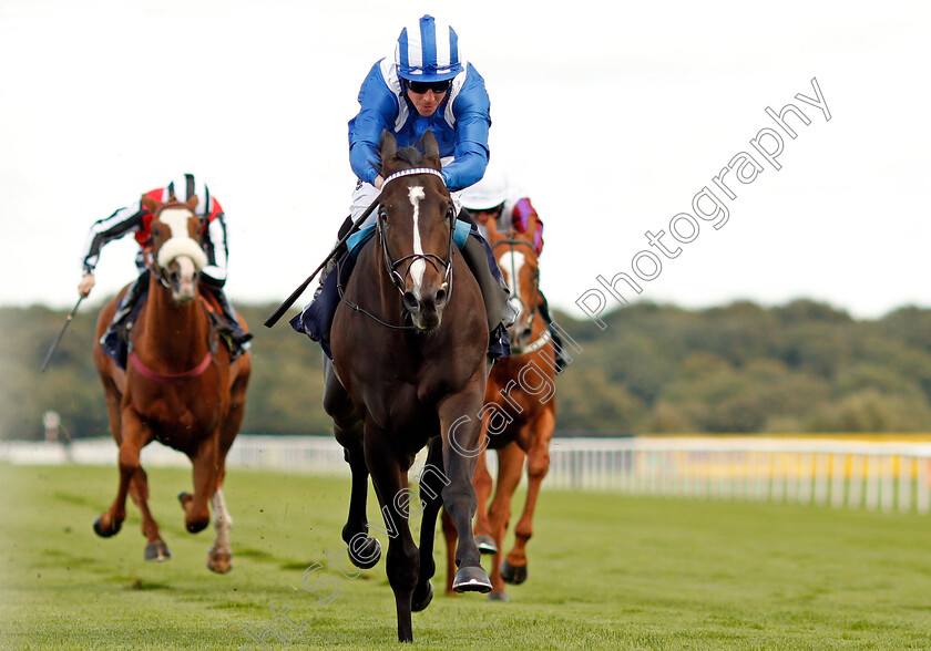 Shabaaby-0005 
 SHABAABY (Jim Crowley) wins The Irish Stallion Farms EBF Stakes Doncaster 13 Sep 2017 - Pic Steven Cargill / Racingfotos.com