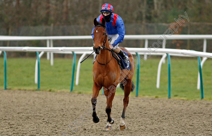 Kingdom-Found-0001 
 KINGDOM FOUND (Richard Kingscote)
Lingfield 6 Feb 2021 - Pic Steven Cargill / Racingfotos.com