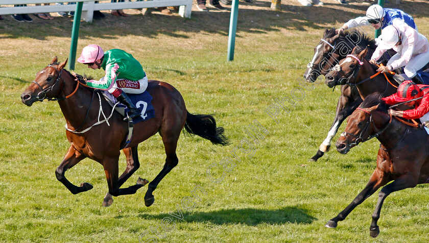 Gobi-Sunset-0001 
 GOBI SUNSET (Oisin Murphy) wins The Ken Lindsay Memorial Nursery
Yarmouth 19 Sep 2019 - Pic Steven Cargill / Racingfotos.com