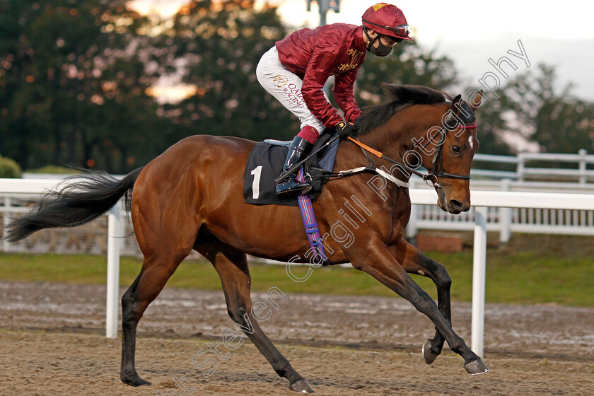 Letmelivemylife-0001 
 LETMELIVEMYLIFE (Oisin Murphy)
Chlmsford 15 Oct 2020 - Pic Steven Cargill / Racingfotos.com