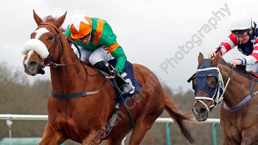 Puerto-De-Vega-0005 
 PUERTO DE VEGA (Sean Levey) wins The Betway Handicap
Lingfield 5 Feb 2022 - Pic Steven Cargill / Racingfotos.com