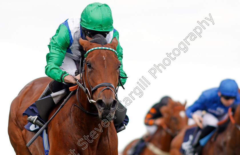 One-Master-0007 
 ONE MASTER (Ryan Moore) wins The Parkdean Resorts The Broads Maiden Stakes Yarmouth 19 Sep 2017 - Pic Steven Cargill / Racingfotos.com