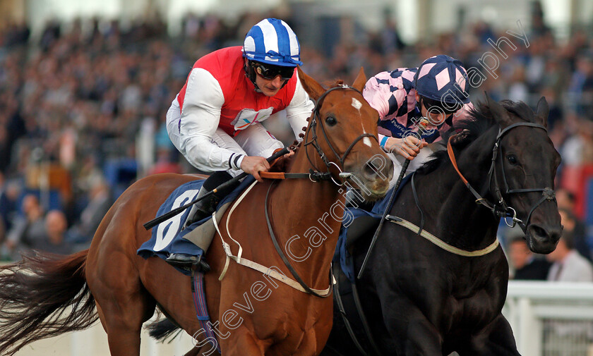 Dominating-0004 
 DOMINATING (left, P J McDonald) beats ALTAAYIL (right) in The Canaccord Genuity Gordon Carter Handicap Ascot 6 Oct 2017 - Pic Steven Cargill / Racingfotos.com