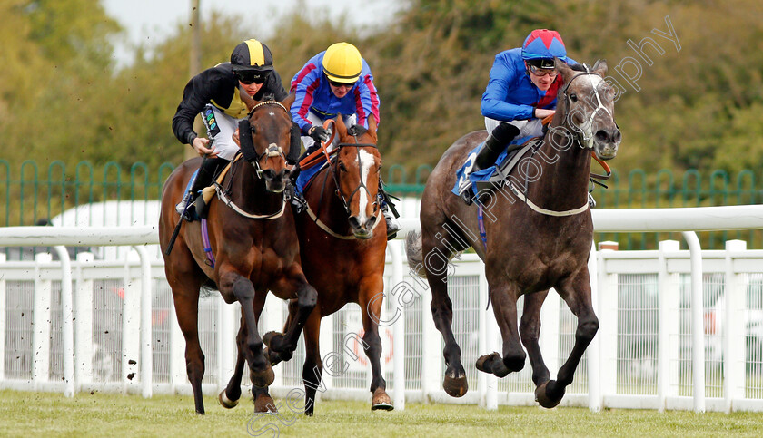 Master-Grey-0001 
 MASTER GREY (William Carson) beats SAY ABOUT IT (centre) and SEASEARCH (left) in The Matthew & Matthew Solicitors Handicap Salisbury 30 Apr 2018 - Pic Steven Cargill / Racingfotos.com