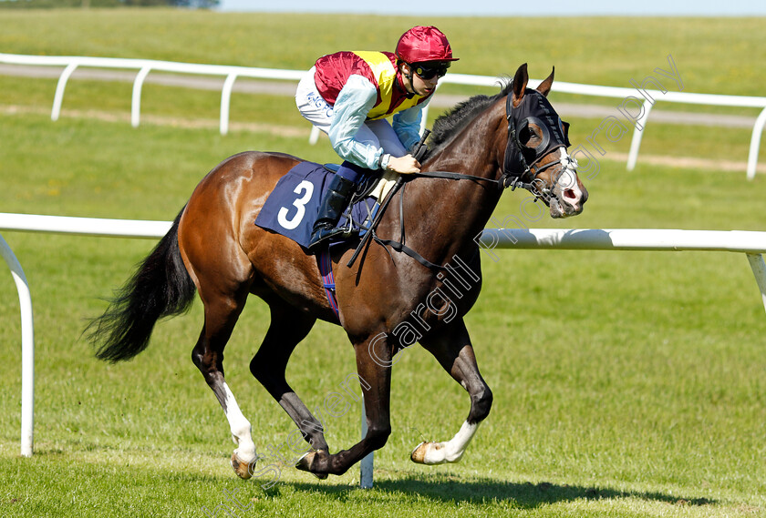 Commonsensical-0002 
 COMMONSENSICAL (Harry Davies) winner of The Plan A Consulting Handicap
Chepstow 27 May 2022 - Pic Steven Cargill / Racingfotos.com