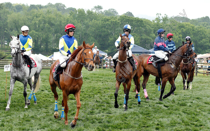 Nashville-0002 
 Runners at the start for The Calvin Houghland Iroquois Hurdle
Percy Warner Park, Nashville USA, 11 May 2019 - Pic Steven Cargill / Racingfotos.com