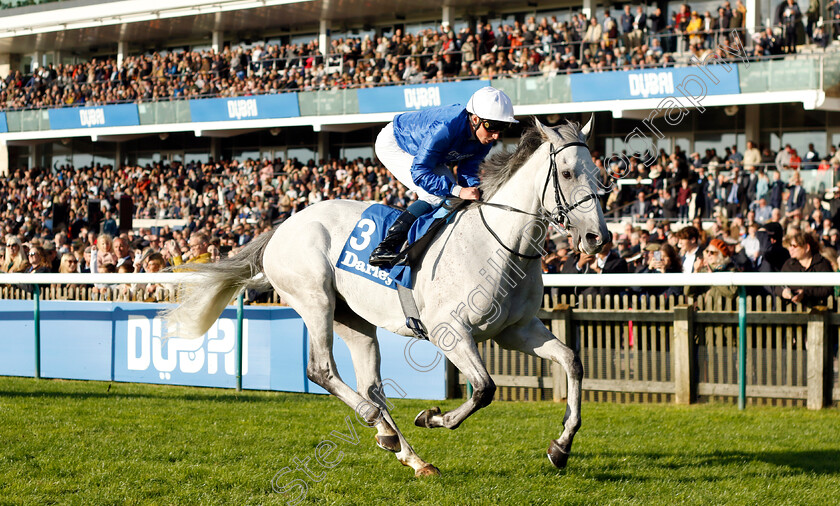 Highland-Avenue-0001 
 HIGHLAND AVENUE (William Buick) wins The Darley Stakes
Newmarket 14 Oct 2023 - Pic Steven Cargill / Racingfotos.com