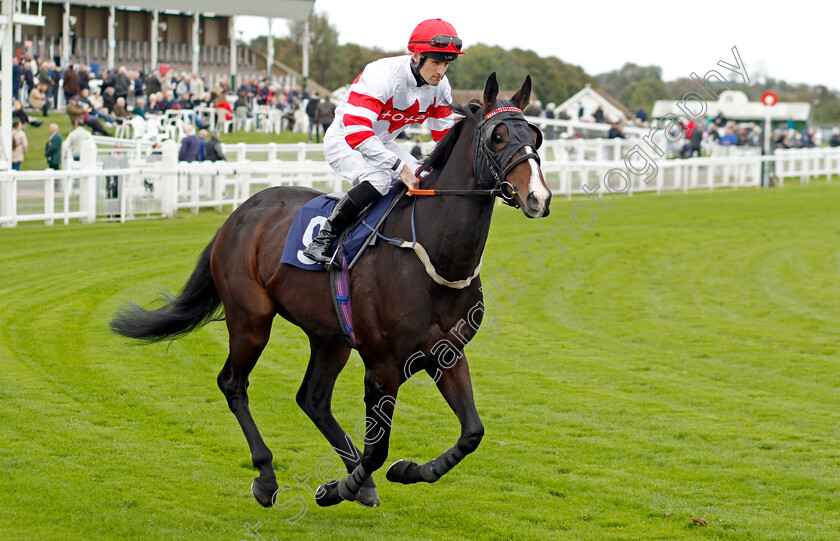 Irezumi-0001 
 IREZUMI (Charlie Bennett)
Yarmouth 16 Oct 2023 - Pic Steven Cargill / Racingfotos.com