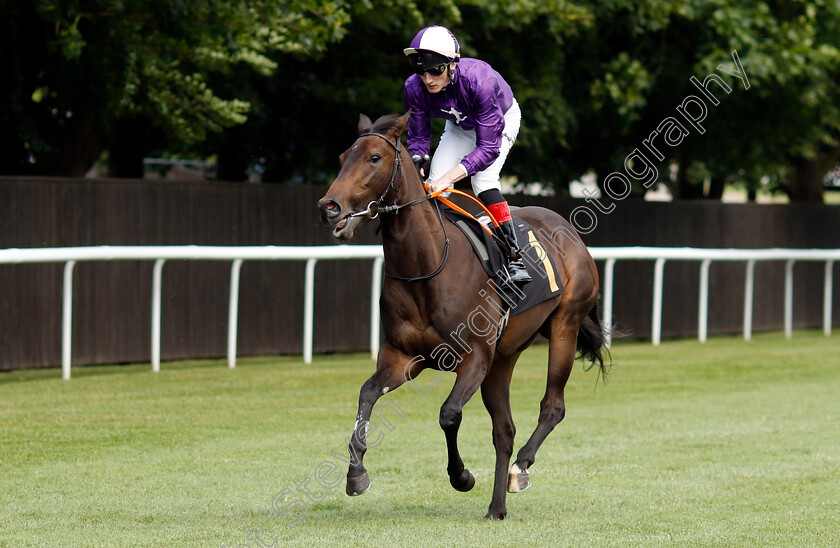 Beautiful-Things-0001 
 BEAUTIFUL THINGS (David Egan)
Newmarket 28 Jun 2024 - Pic Steven Cargill / Racingfotos.com