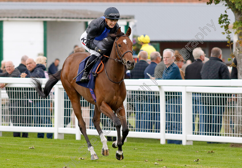 Free-As-A-Bird-0001 
 FREE AS A BIRD (Saffie Osborne)
Yarmouth 20 Sep 2023 - Pic Steven Cargill / Racingfotos.com