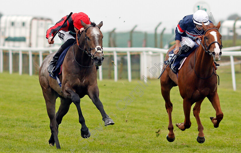 Graystone-0002 
 GRAYSTONE (left, Daniel Muscutt) beats SEMPER AUGUSTUS (right) in The Quinnbet casino.com Handicap
Yarmouth 1 Jul 2021 - Pic Steven Cargill / Racingfotos.com