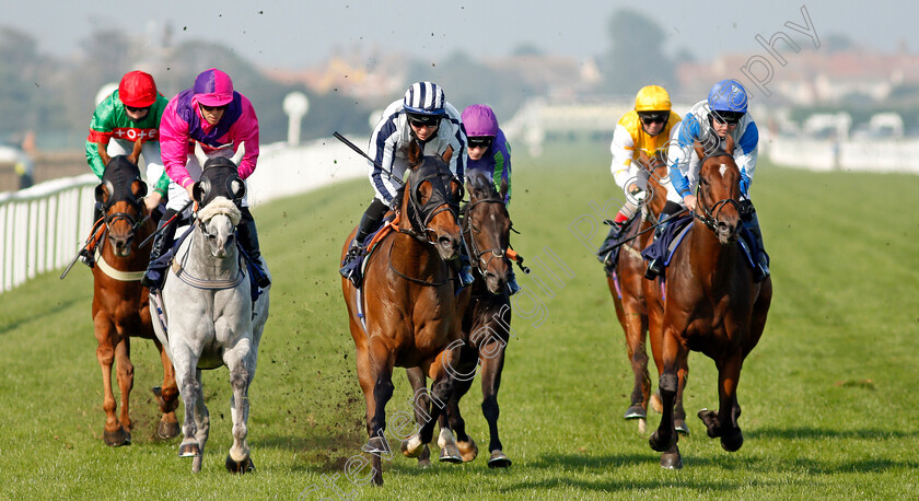 Grandfather-Tom-0004 
 GRANDFATHER TOM (centre, Ray Dawson) beats CASE KEY (left) in The Follow At The Races On Twitter Handicap
Yarmouth 15 Sep 2020 - Pic Steven Cargill / Racingfotos.com