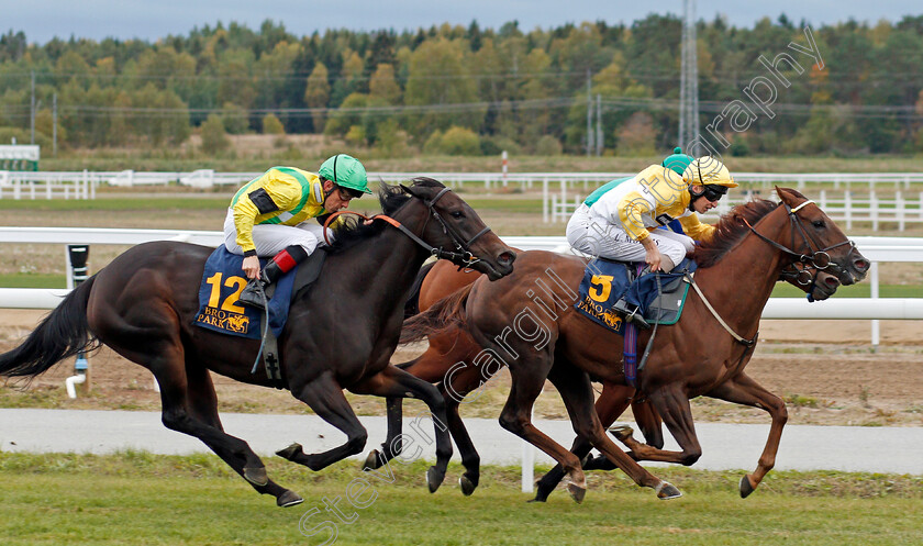 Corinthia-Knight-0004 
 CORINTHIA KNIGHT (Luke Morris) beats PUDS (left) in The Clarion Sign Bro Park Sprint Championship
Bro Park, Sweden 22 Sep 2019 - Pic Steven Cargill / Racingfotos.com