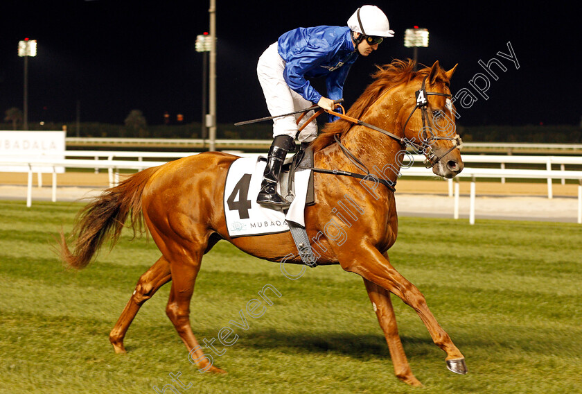 Leshlaa-0001 
 LESHLAA (Pat Cosgrave) Meydan 18 Jan 2018 - Pic Steven Cargill / Racingfotos.com